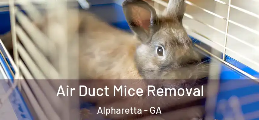 Air Duct Mice Removal Alpharetta - GA