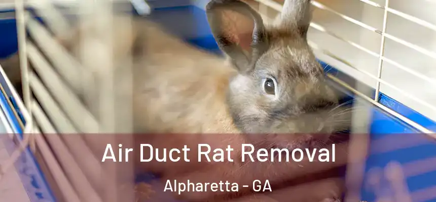 Air Duct Rat Removal Alpharetta - GA