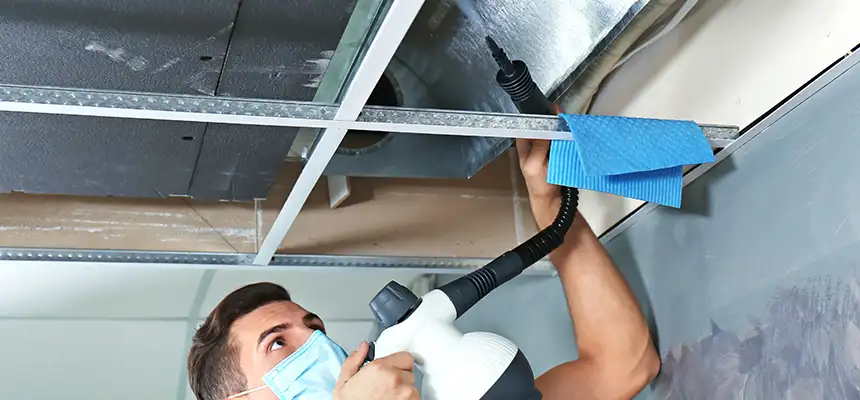 Our Air Duct Rodent Removal Services in Alpharetta, GA