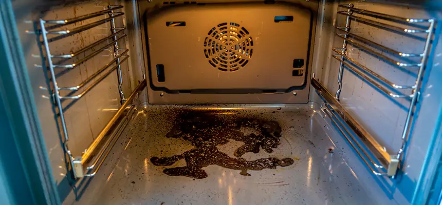 Our Dryer Vent Mold Cleaning Services in Alpharetta, GA