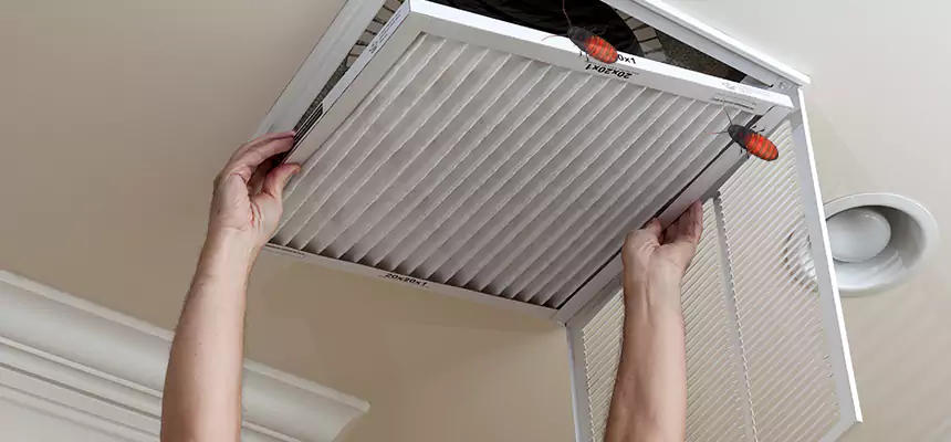 Our Insect Removal from Air Ducts Services in Alpharetta, GA
