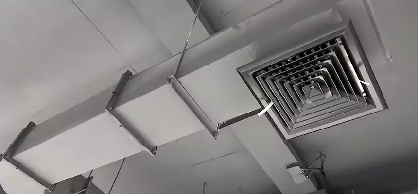 Our Pest Removal From Ducts Services in Alpharetta, GA