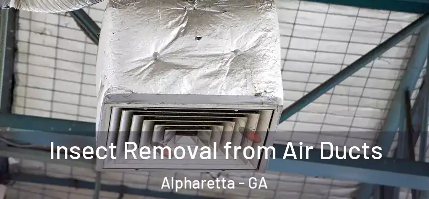  Insect Removal from Air Ducts Alpharetta - GA
