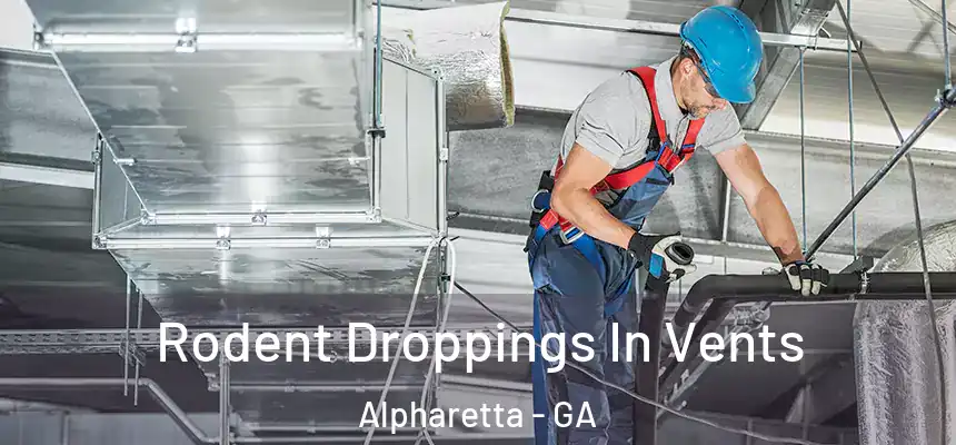  Rodent Droppings In Vents Alpharetta - GA