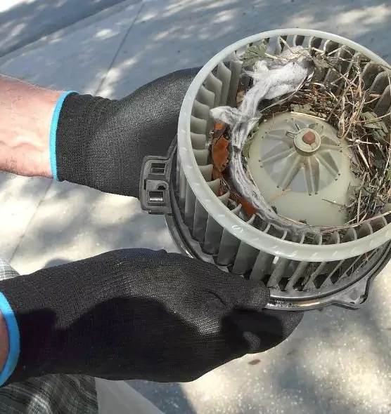 About Air Duct Mice Removal in Alpharetta, GA