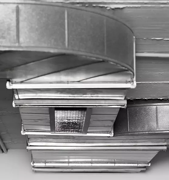 Professional Air Duct Pet Hair Removal in Alpharetta, GA