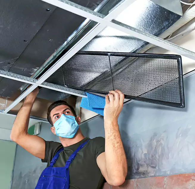 Why Homeowners Businesses Trust Us in Alpharetta, GA