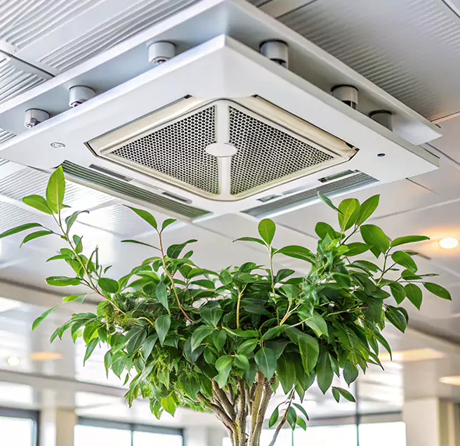 Why Homeowners & Businesses Trust Us in Alpharetta, GA?