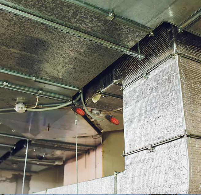 Why Homeowners & Businesses Trust Us Alpharetta, GA?