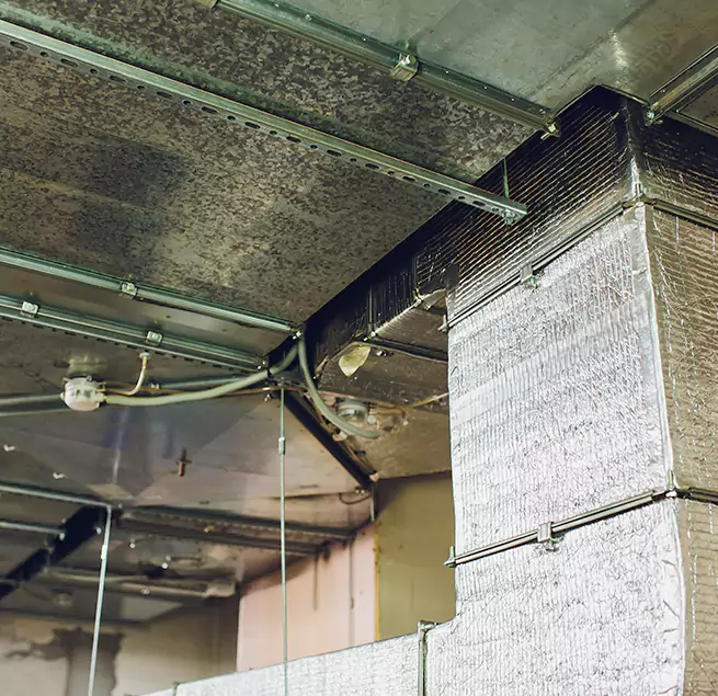 Why Homeowners & Businesses Trust Us in Alpharetta, GA?